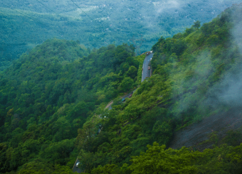 Mysore to Wayanad – 3 Days / 2 Nights Tour Package