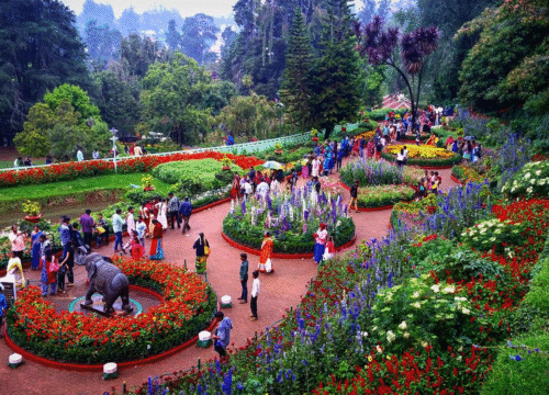 Mysore to Ooty – 2 Days Tour Package