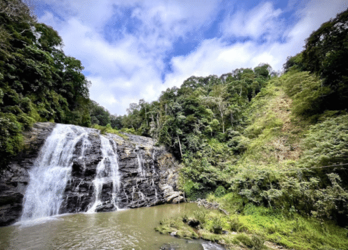 Mysore to Coorg – 2 Days Tour Package